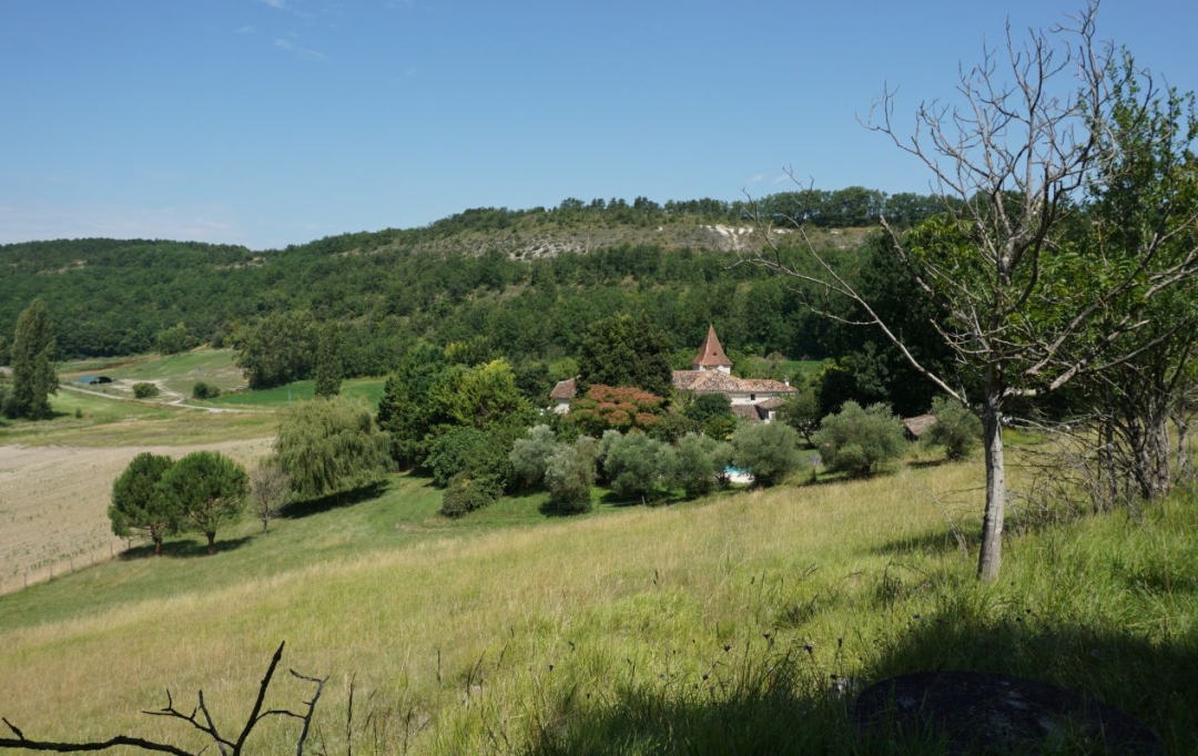 AGENCE IMMOBILIERE MARIN : Domain / Estate | SAUVETERRE (82110) | 319 m2 | 787 500 € 